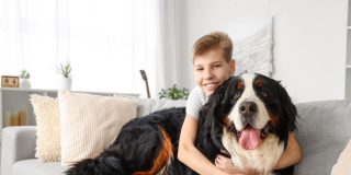 A boy sits with a huge dog on the sofa at home.