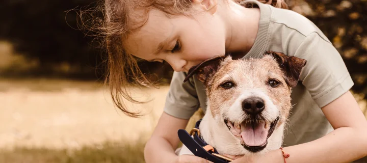 Little girl puts on dog collar on her pet dog to go for a walk.